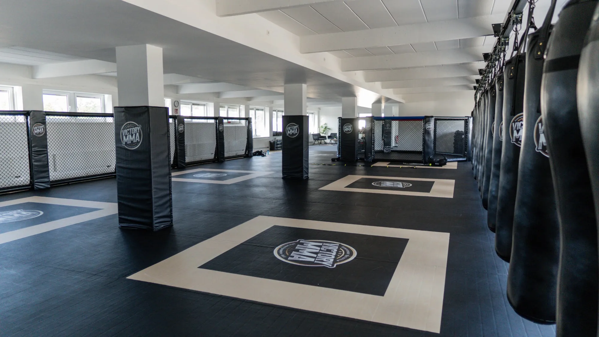Helle Trainingshalle mit Cage und Sandsäcken bei Victory MMA Bielefeld